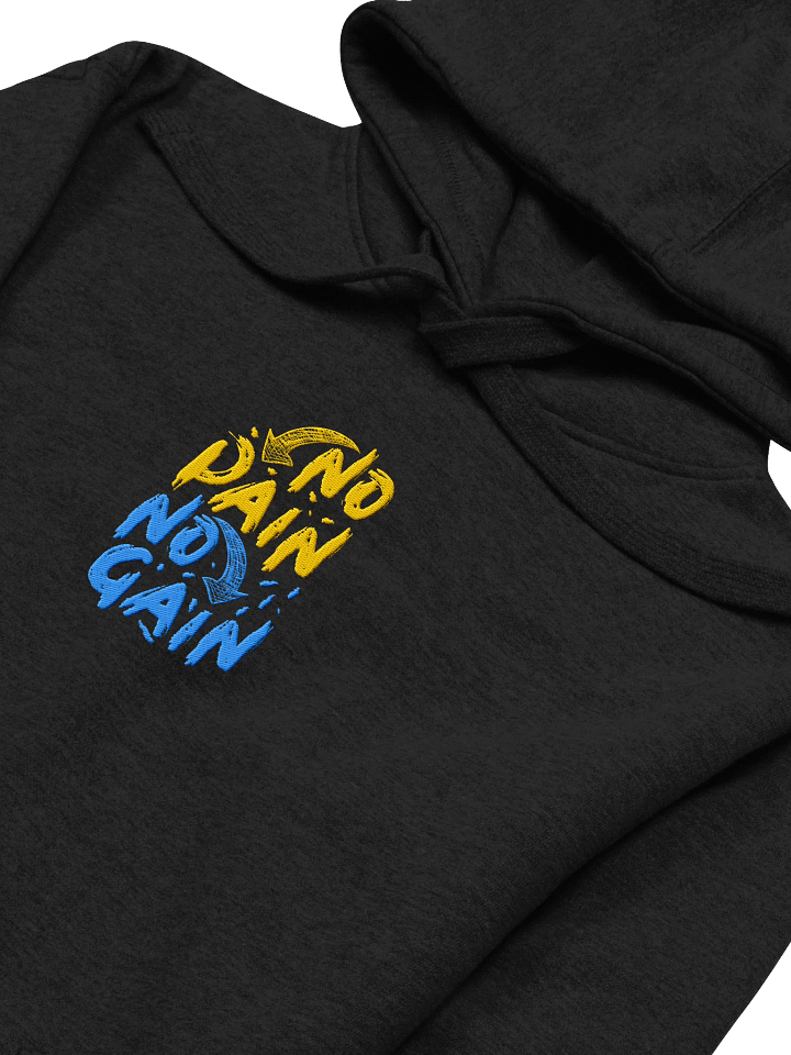 No Pain No Gain! Center Embroidered Hoodie product image (2)