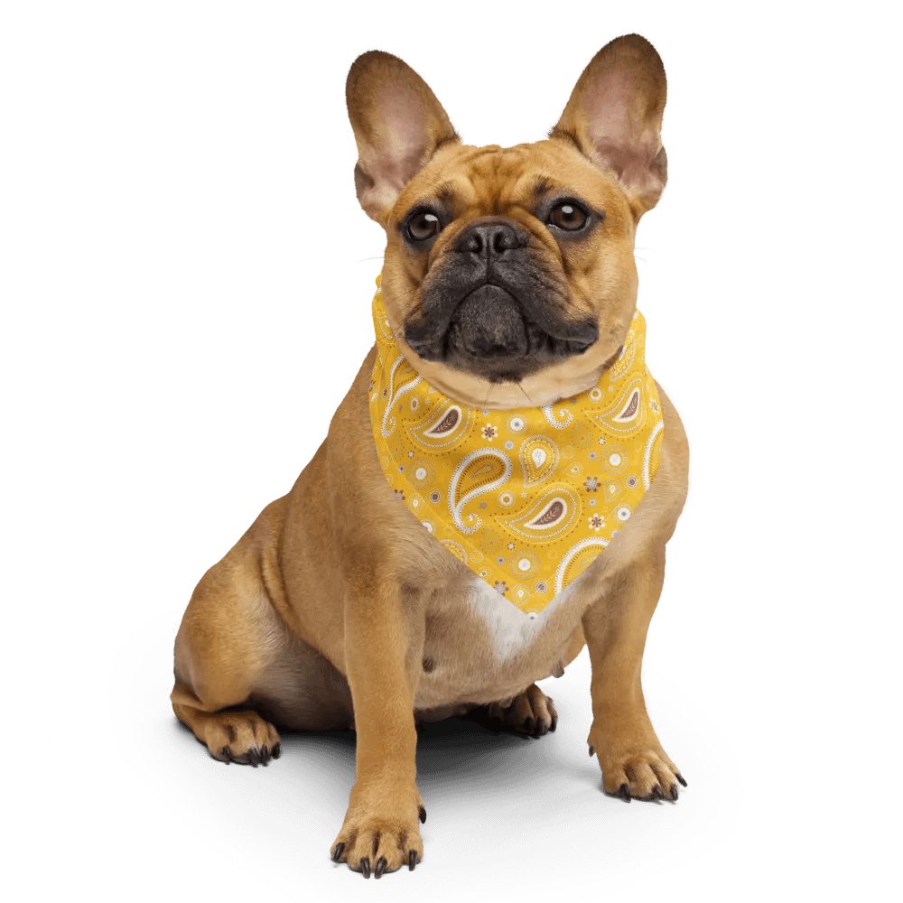 Yellow Paisley Dreams All-Over Print Bandana product image (5)