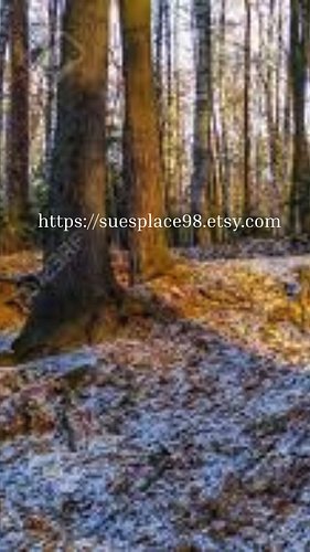 Come visit, and check out this and all the Hoodies! 

https://suesplace98.etsy.com