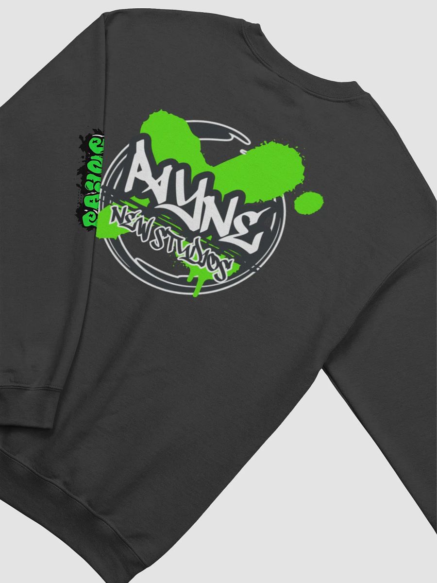 PAYNEFUL SWEATSHIRT product image (4)