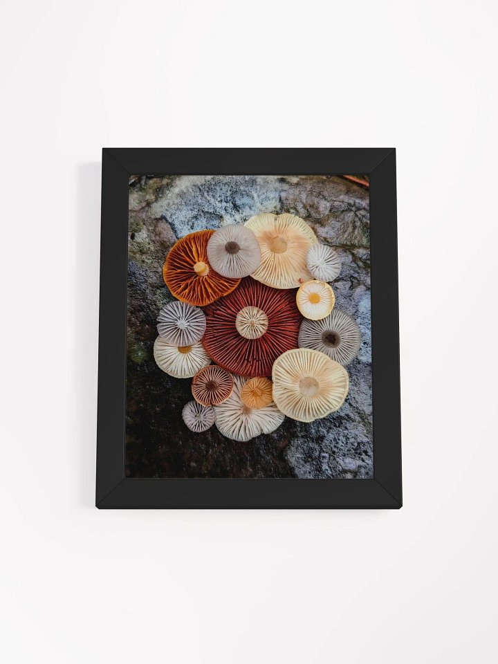 Fungal Color Palette (Frame) product image (1)