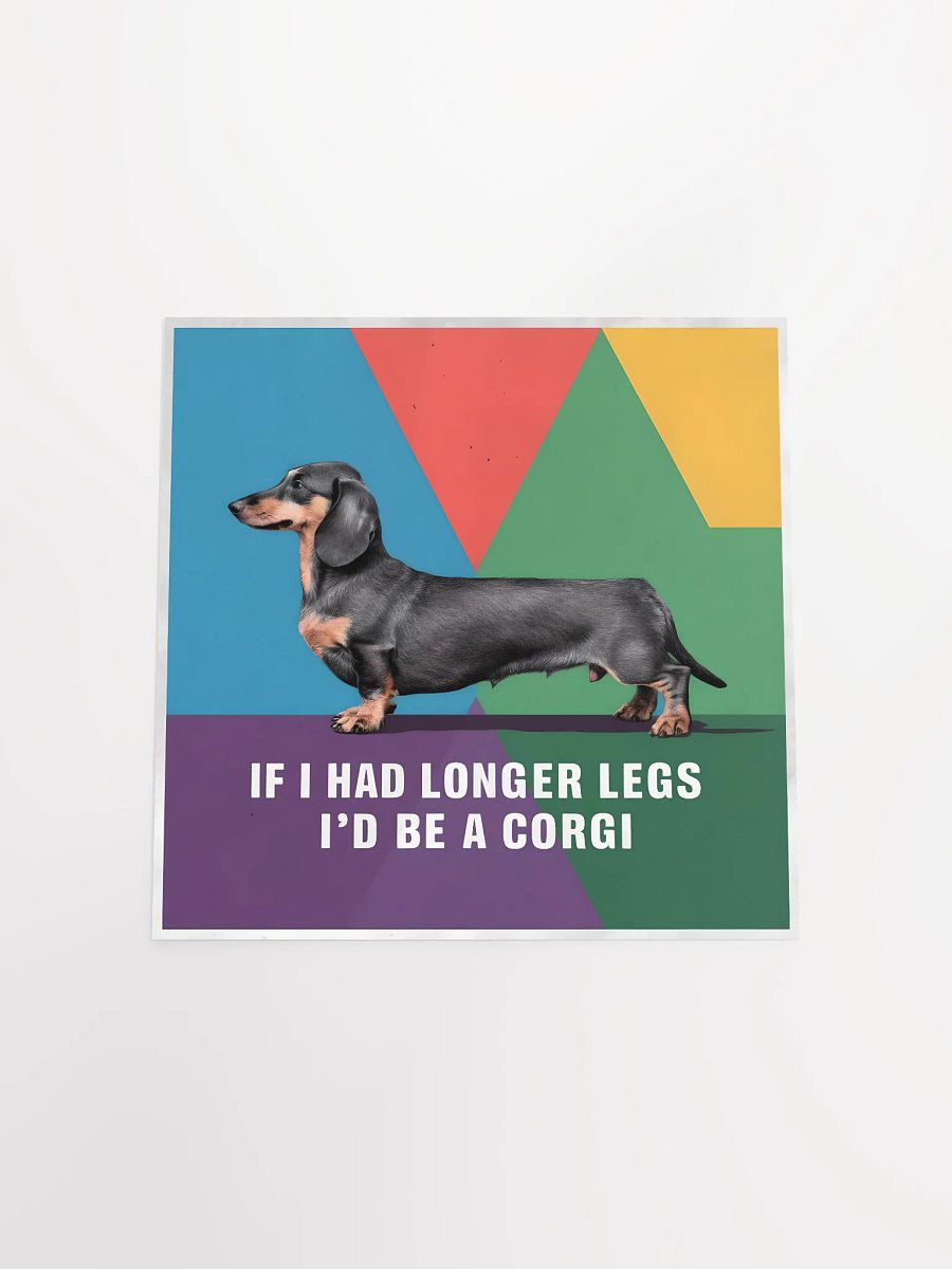 Dachshund product image (19)