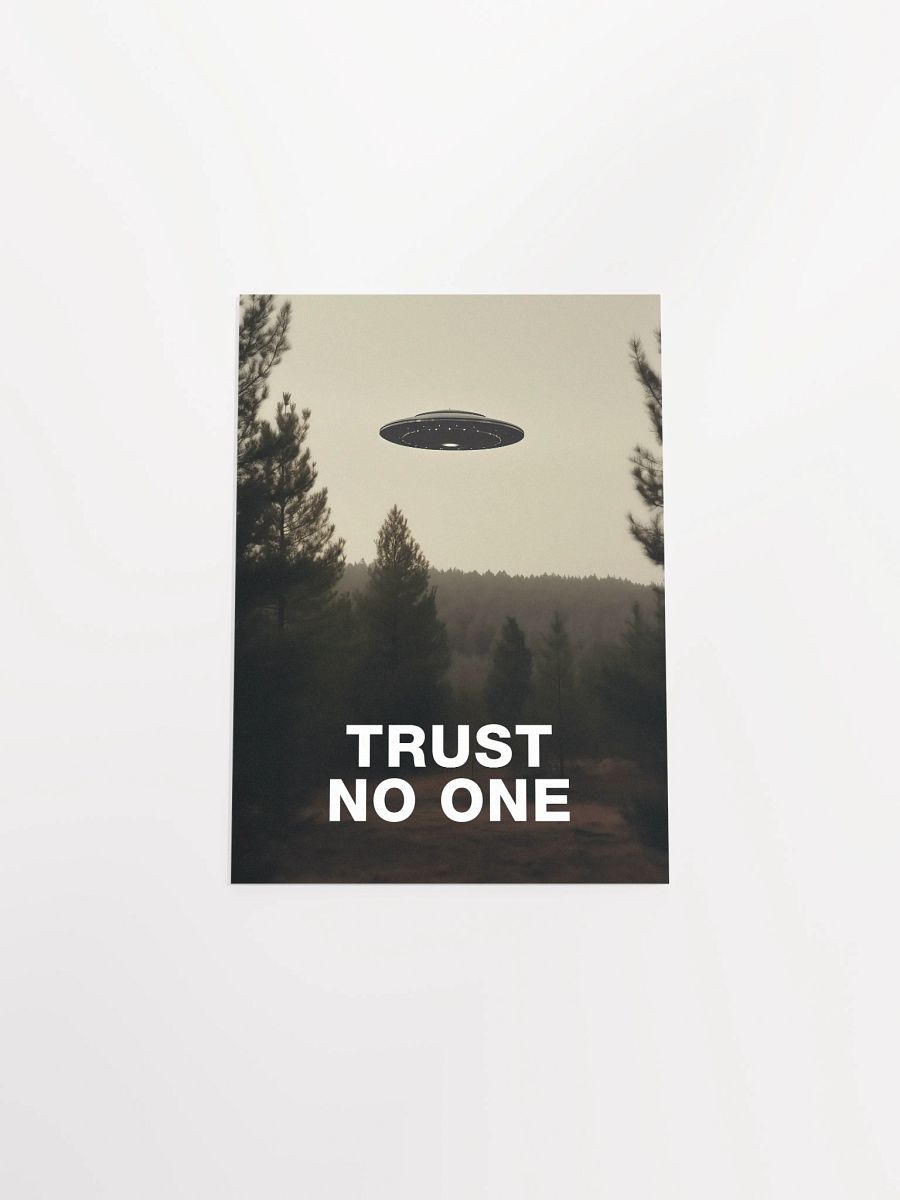 Trust No One/The X-Files poster, S01E24 1994 — sci-fi poster, movie art, I want to believe poster, space print, aliens wall decor product image (9)