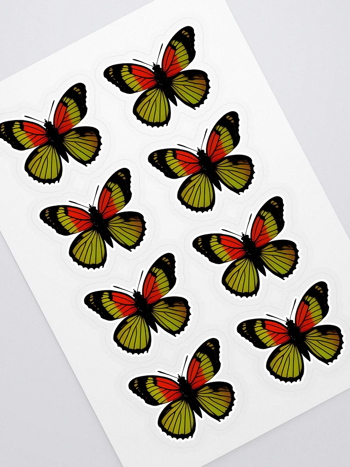 Butterfly Specimen - Insected #4 - Stickers product image (1)