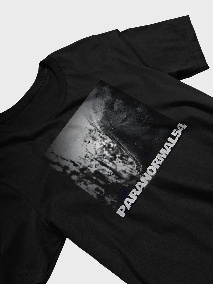 Haunted Mother Mary Statue T-Shirt product image (2)