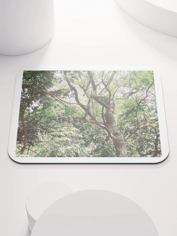 EARTH TONE MOUSE PAD product image (1)