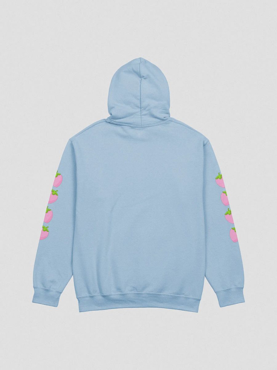 LNAR Hoodie product image (3)