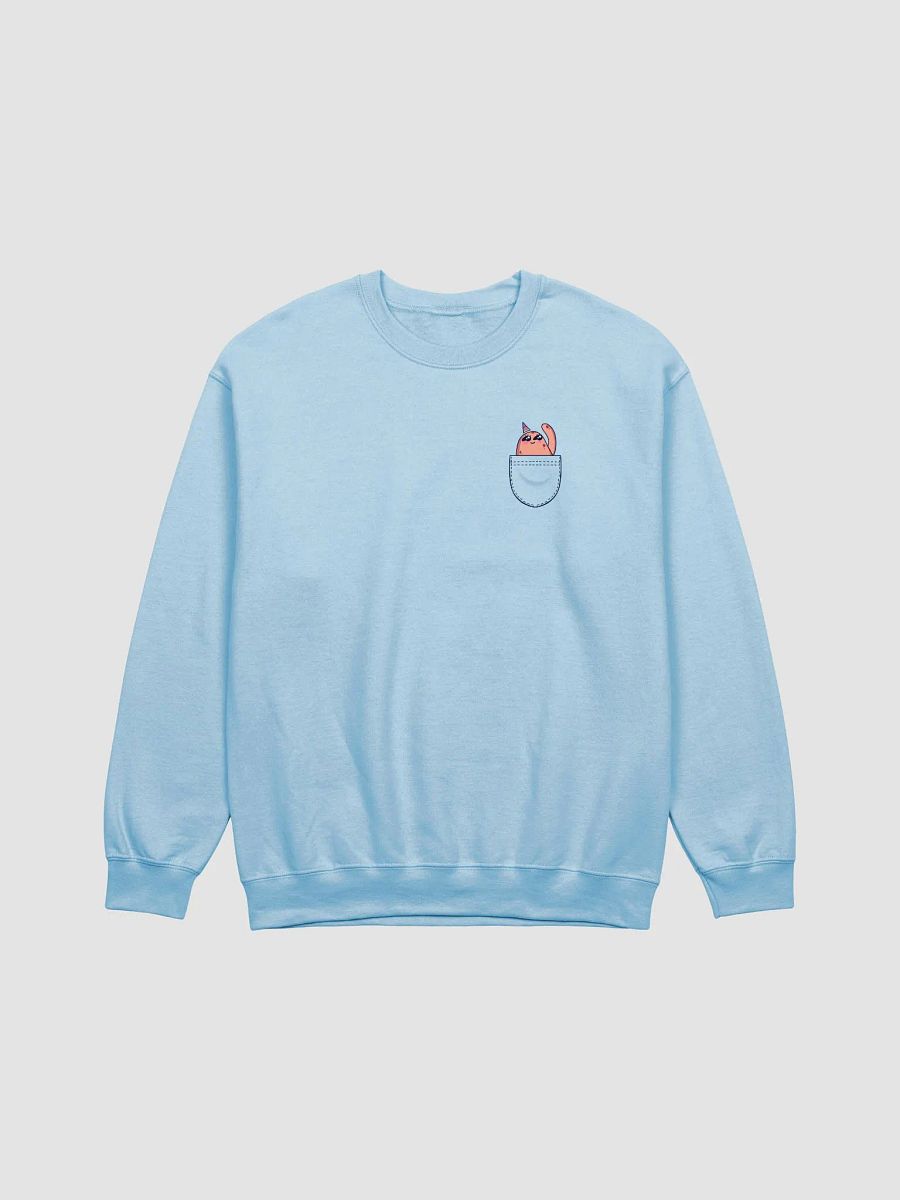 g_birb in my pocket sweatshirt! product image (4)