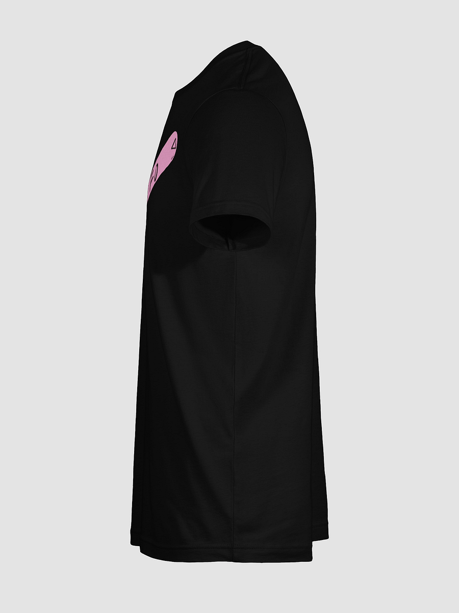 FAFO Tee (SFW version) product image (9)