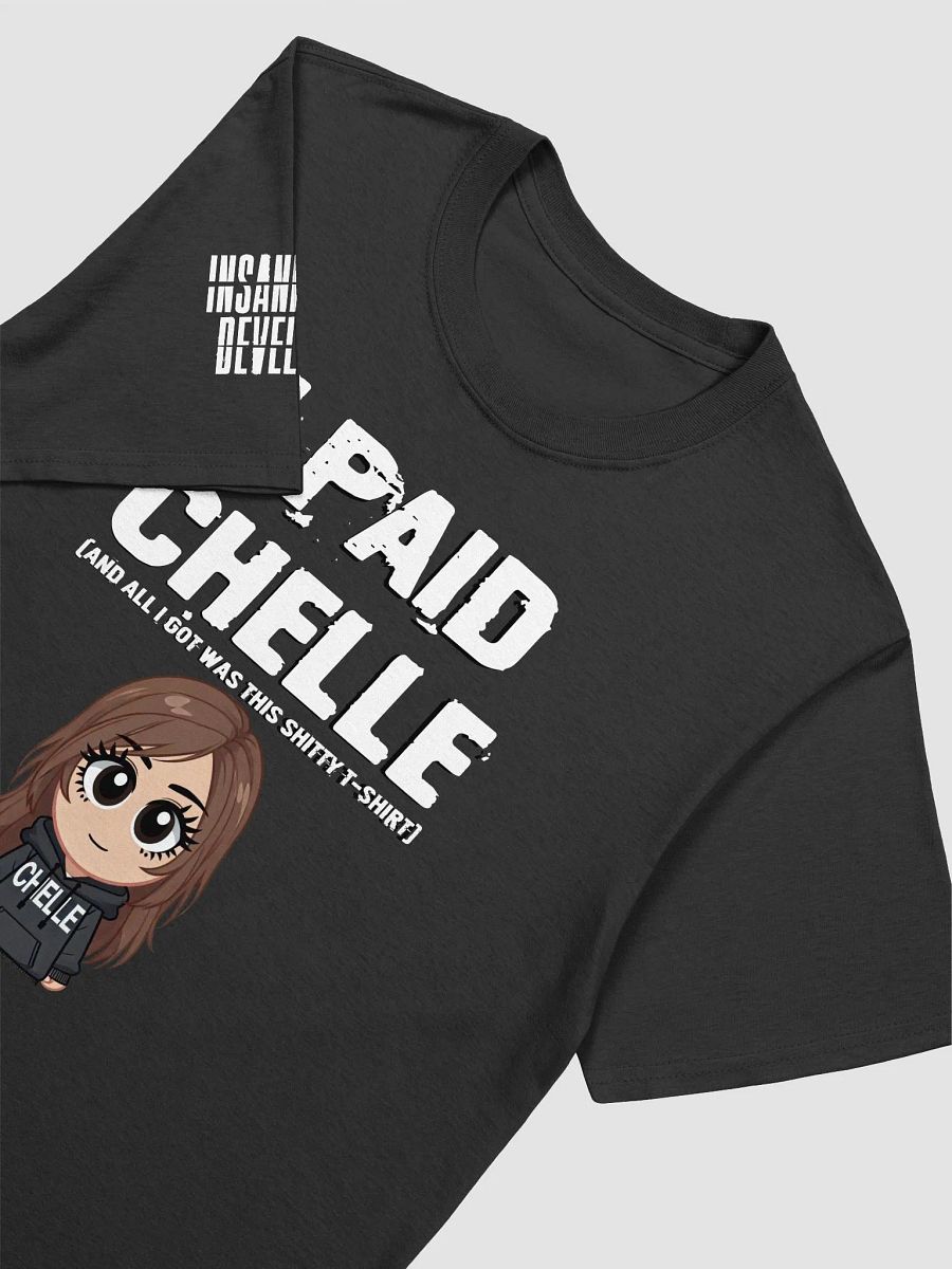 I Paid Chelle (And All I Got Was This...) T-Shirt product image (12)