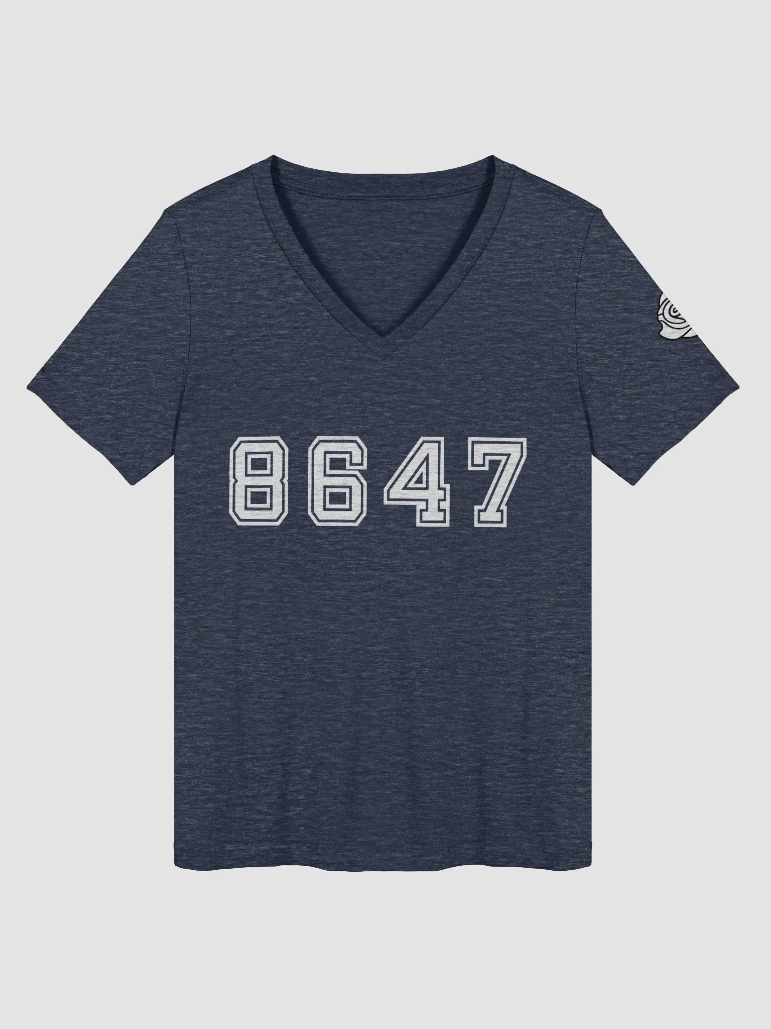8647 College Relaxed V-Neck T-Shirt A product image (15)