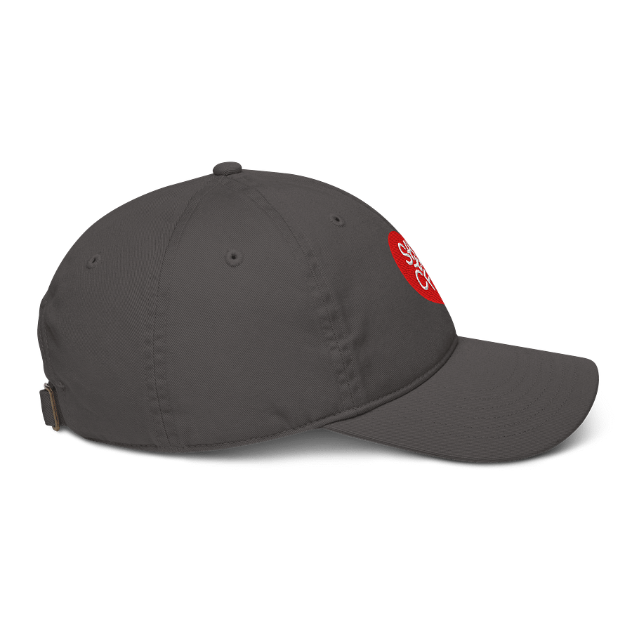Save the CFPB Baseball Hat (100% Organic Cotton) product image (5)