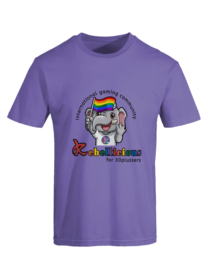 Comfort Colors Pride T-shirt product image (2)