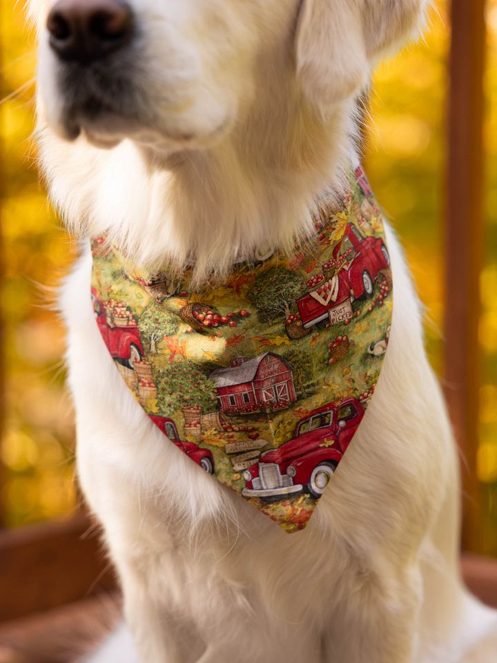 Golden Vintage Autumn Bandana product image (2)