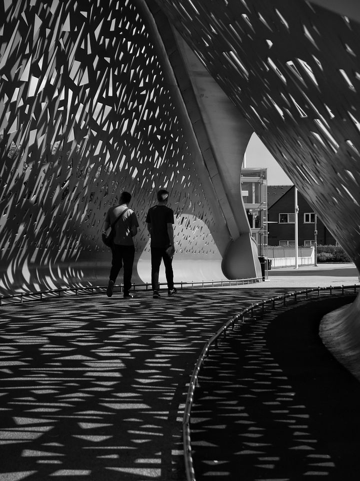 Golden Bridge Swansea product image (1)