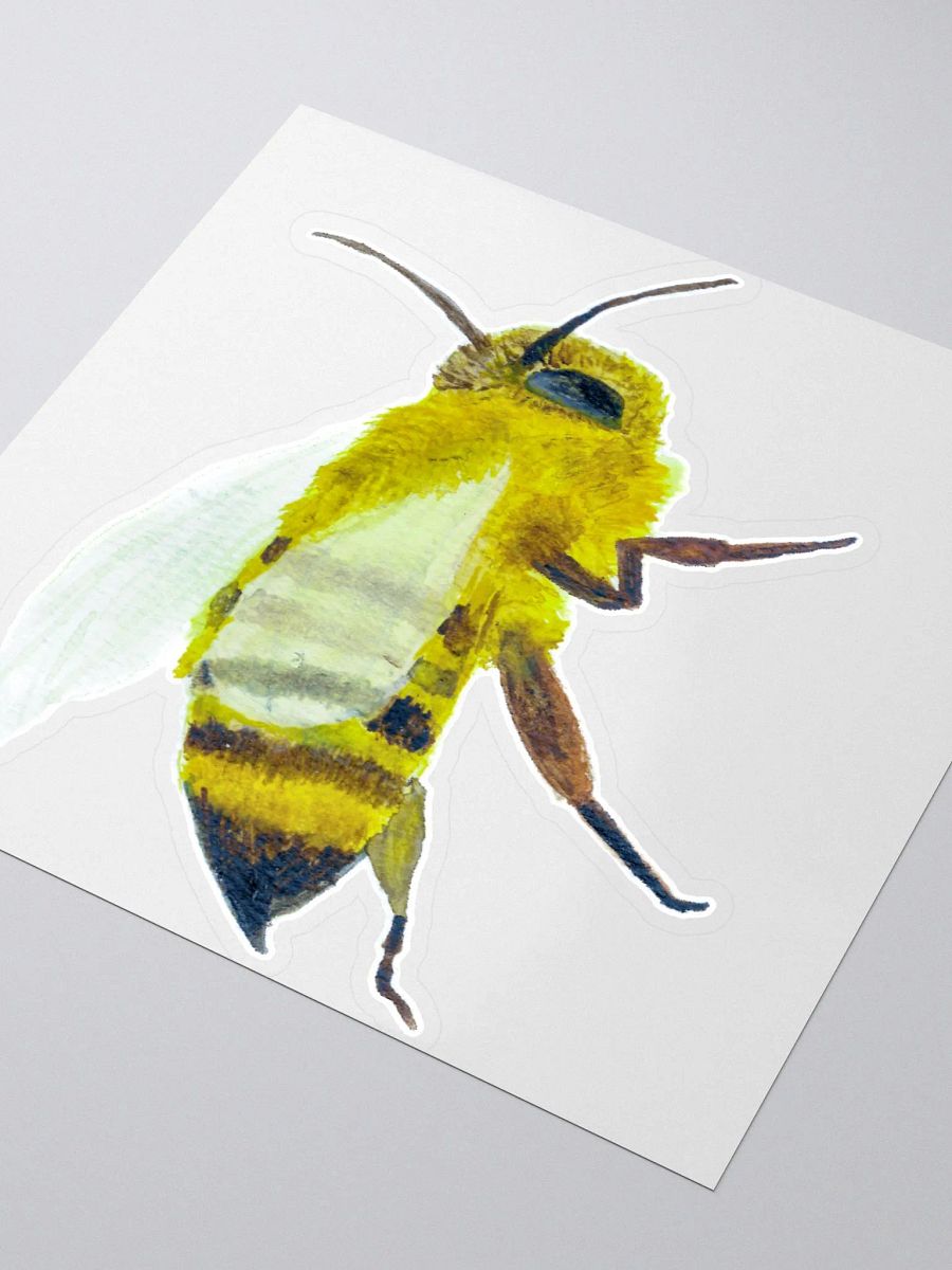 Big Bee product image (3)