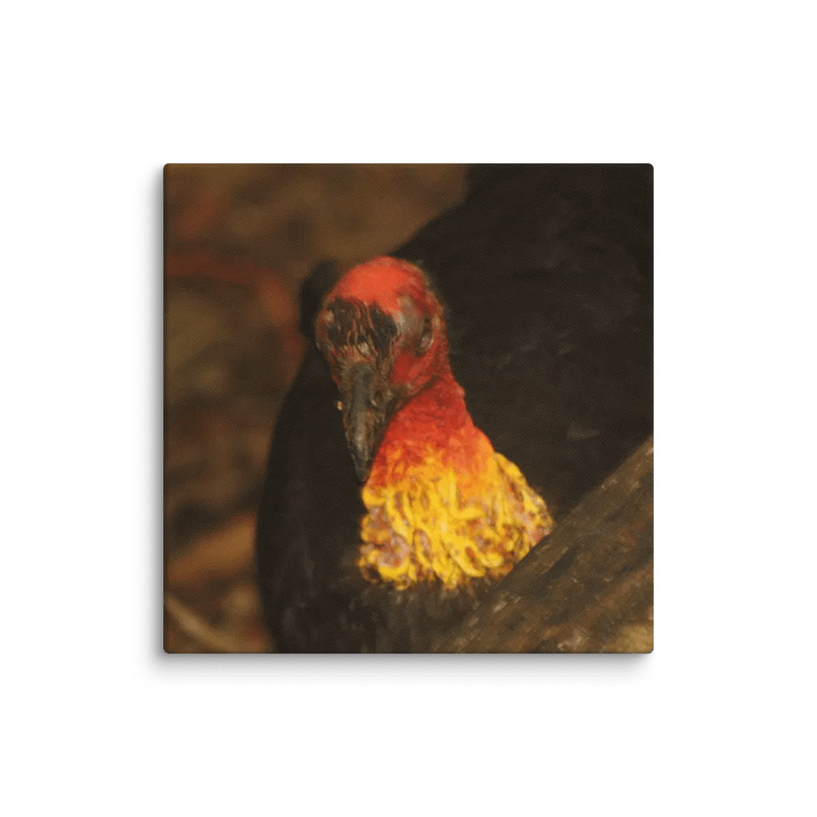 Turkey Canvas product image (1)