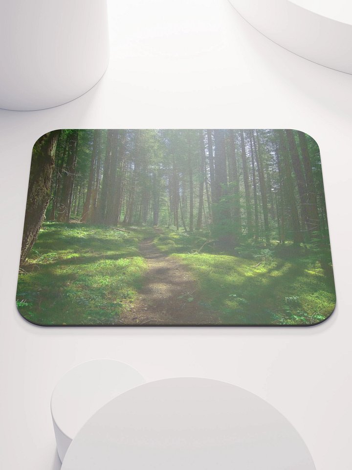 Lower Dungeness Trail Timber sun lighting Mouse Pad product image (1)