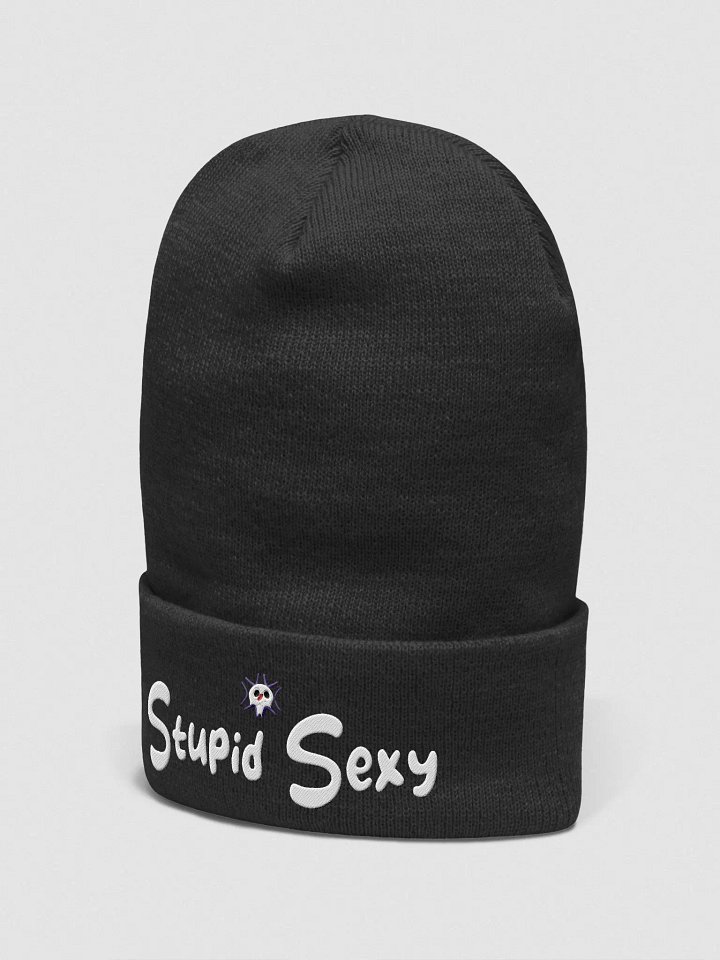Stupid Sexy product image (11)