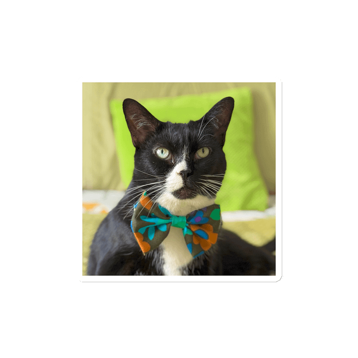Tuxedo Dream Magnet product image (2)