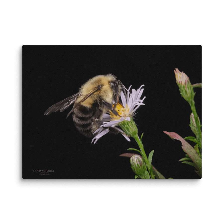 Busy Bee - Print On Canvas product image (1)