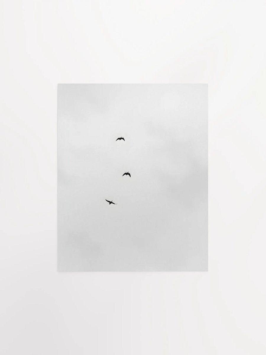A Trio of Birds in Grayscale product image (2)