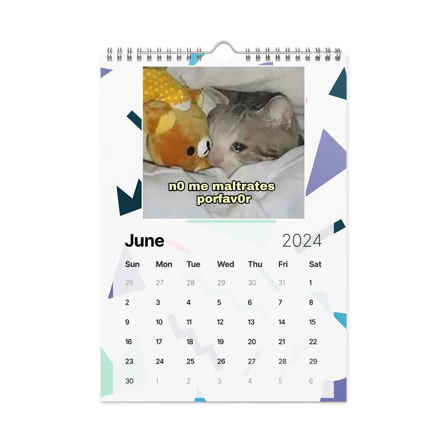 Wall Calendar (2024): Meme Cats product image (12)