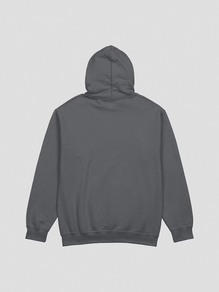 Facetious Hoodie (White Text) product image (4)