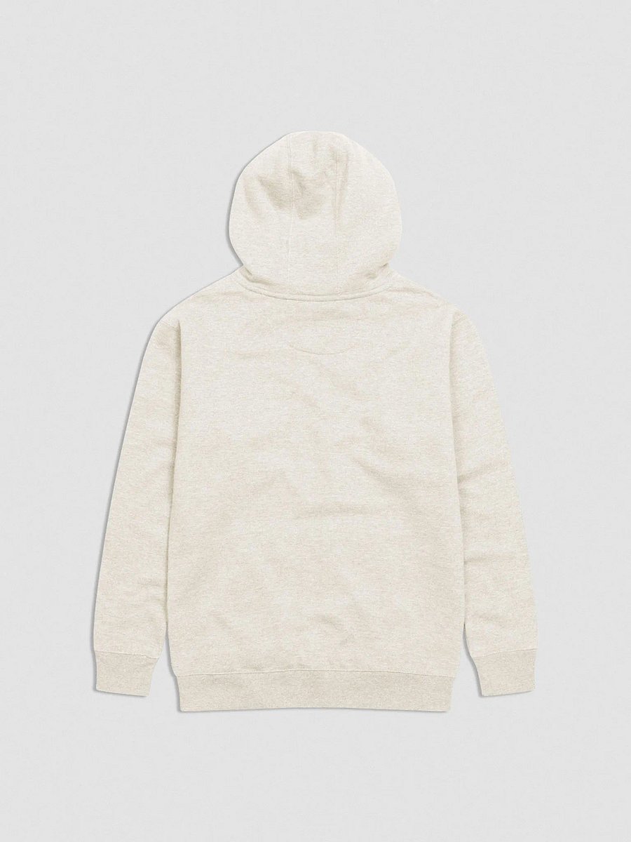 Embroidered Logo Hoodie product image (13)
