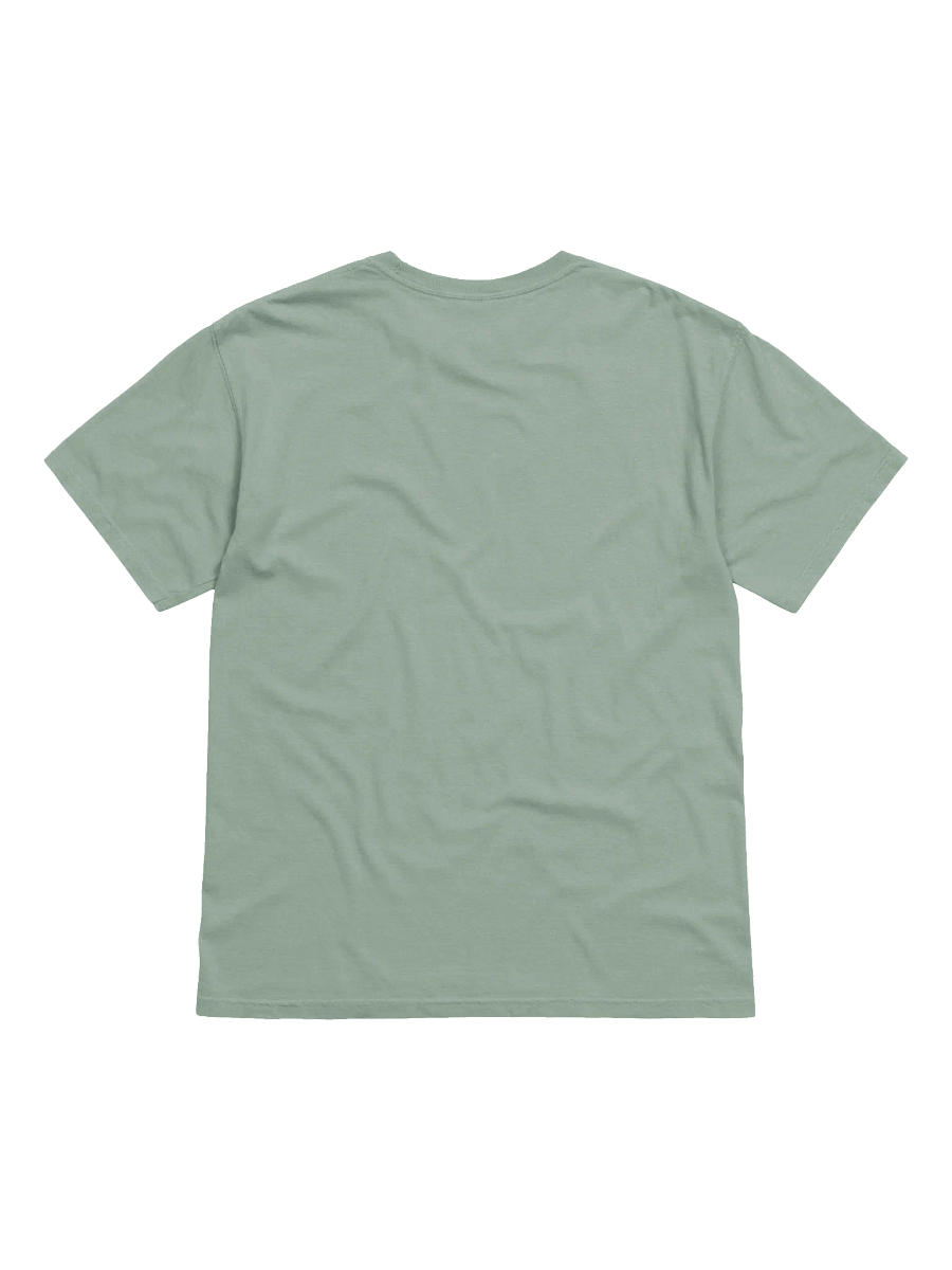 Magna_Tism Sombrero Abomination T-Shirt product image (18)