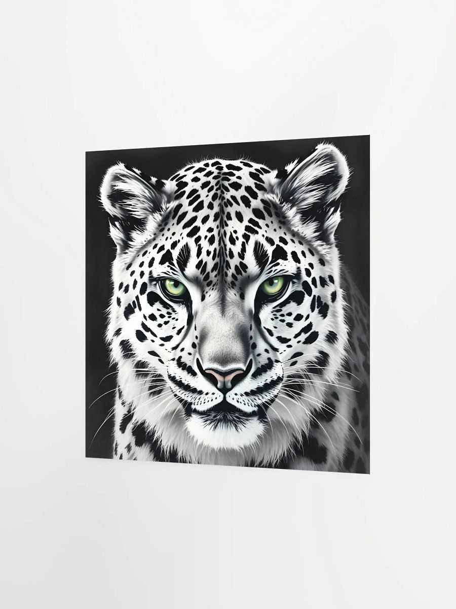 Snowleopard product image (8)