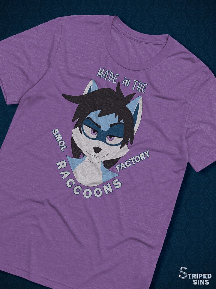 Ryder | Triblend T-shirt | Quote #1 product image (1)