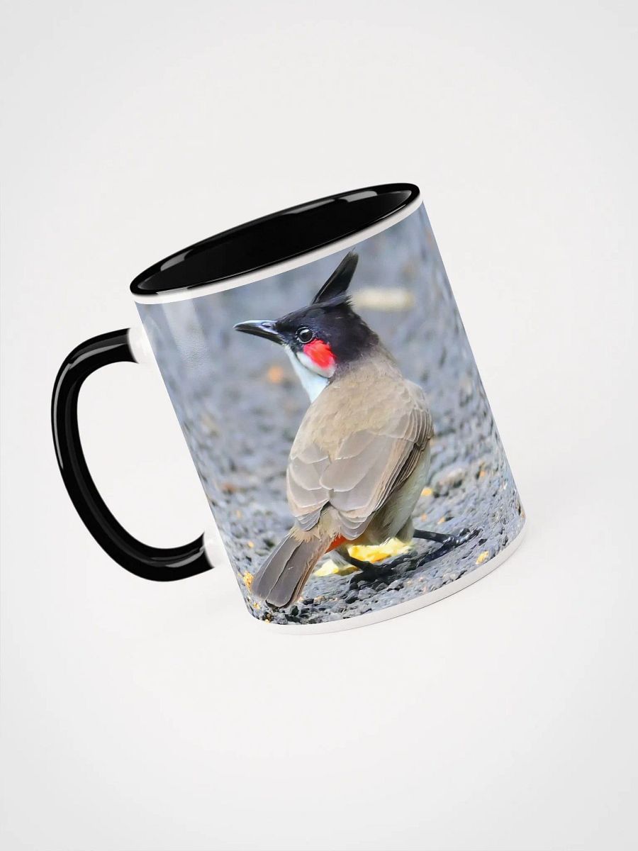 IUCAA Birds Photos product image (3)