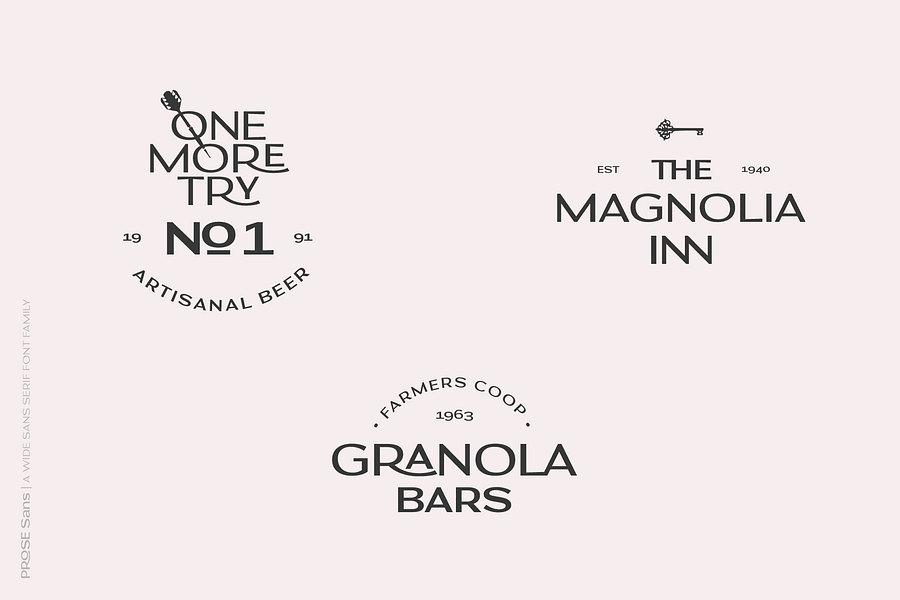 Prose Sans | A Wide Sans Serif Font Family product image (4)