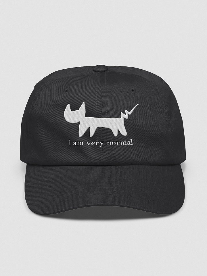 normal.hat product image (1)