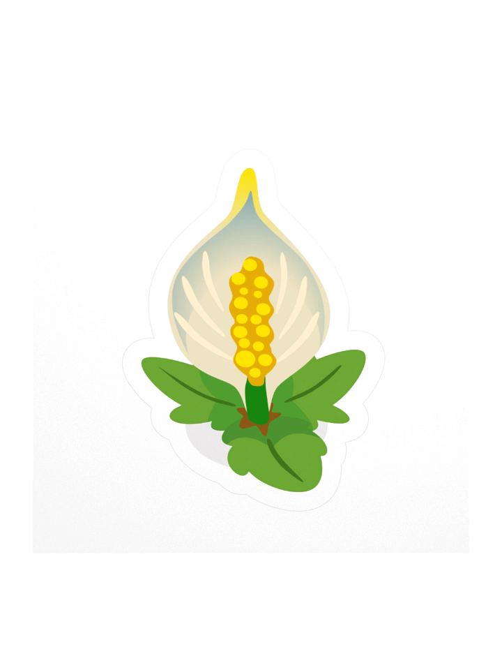 Lily product image (1)