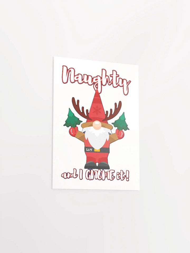 NAUGHTY AND I GNOME IT product image (12)