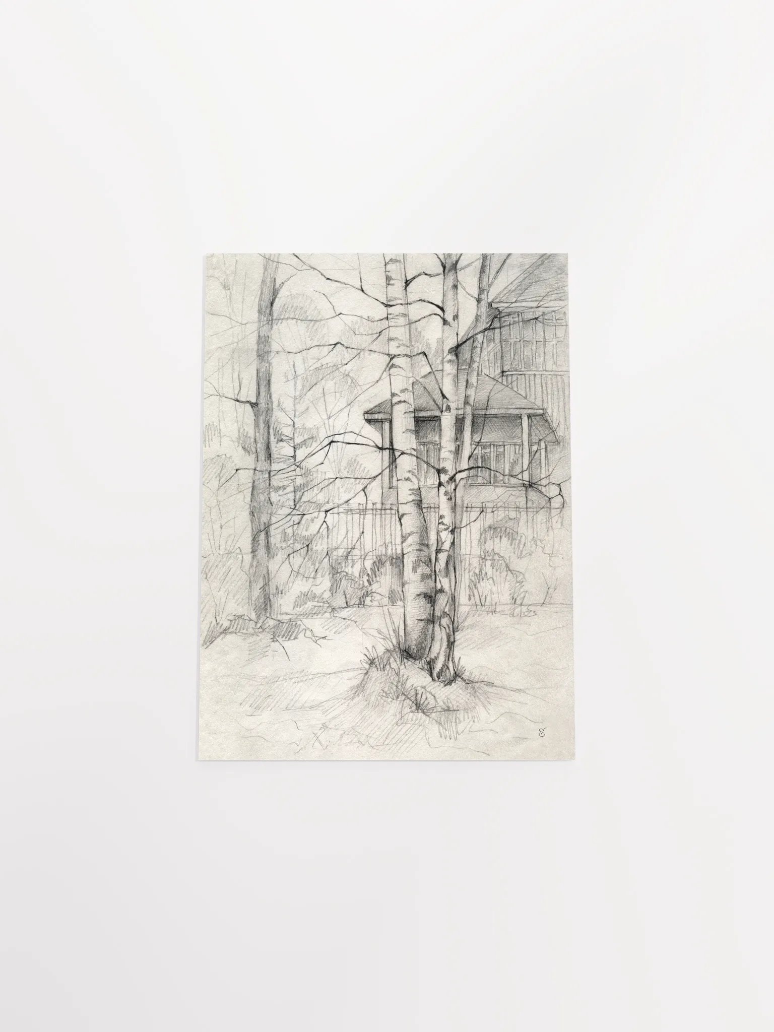 Vibrant Matte Poster Print - Dacha and Trees product image (4)