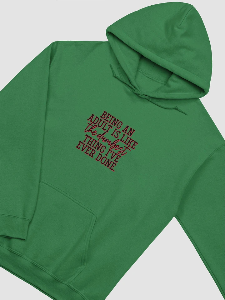 Adulthood Irony Hoodie product image (2)