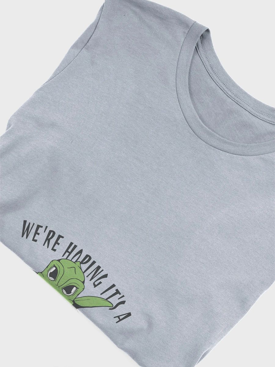 Dino Baby Announcement T-Shirt product image (5)