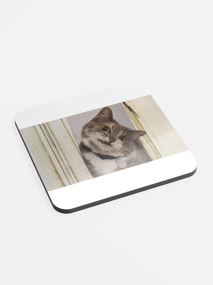 Here's.. a Mochi Coaster! product image (2)