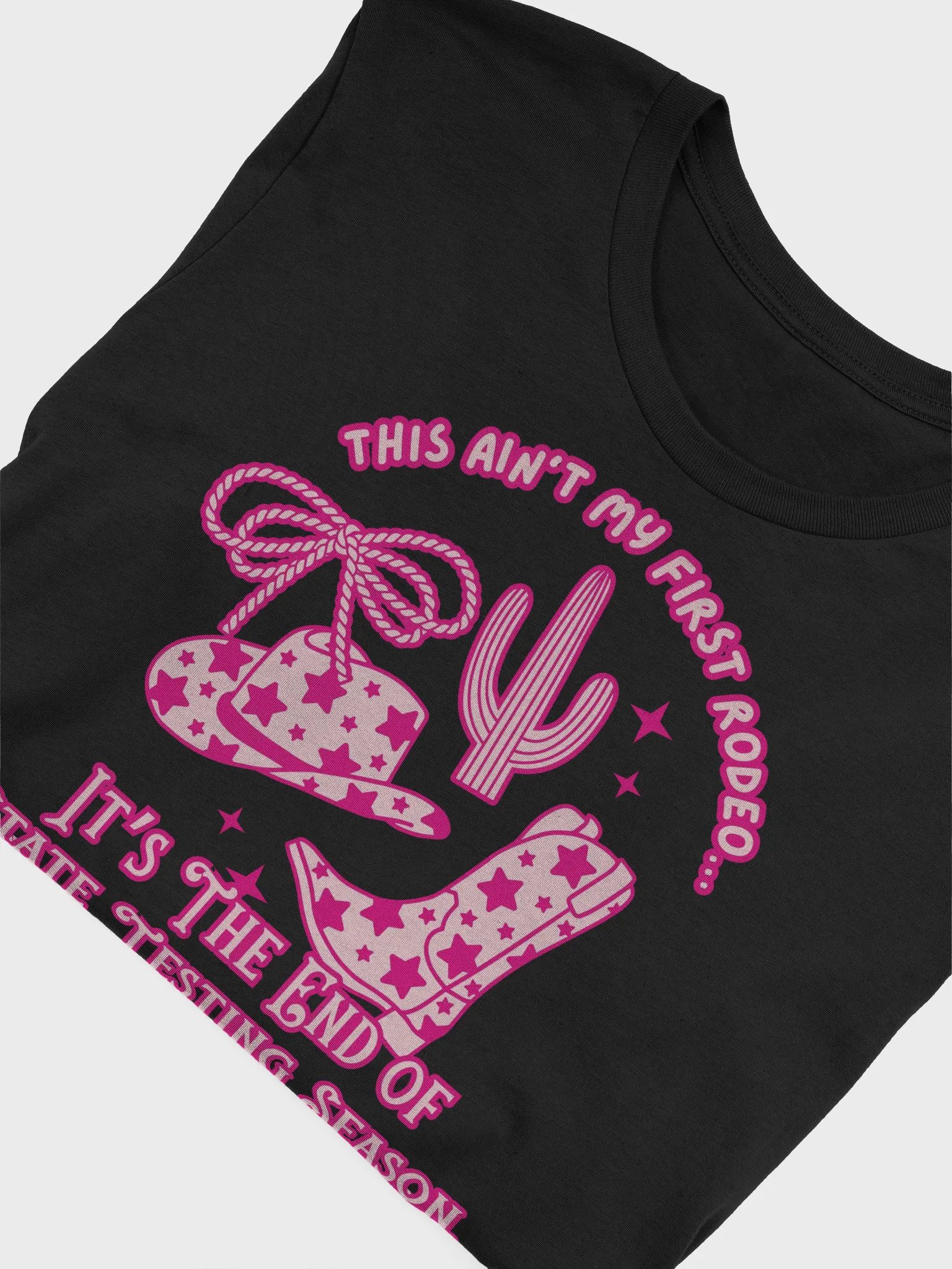 End of Testing Season! T-Shirt product image (15)