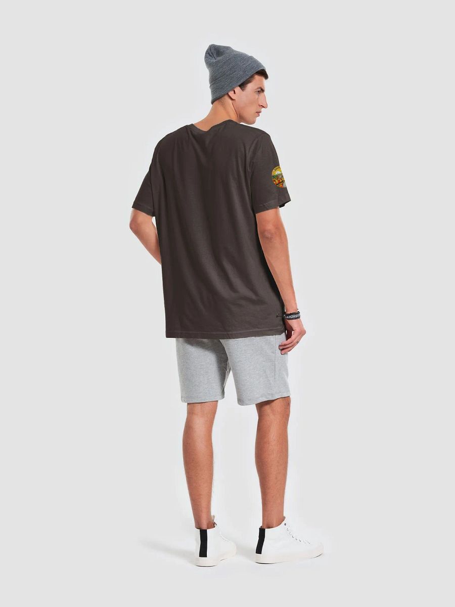 Galena Illinois Autumn Vibes Tee product image (7)