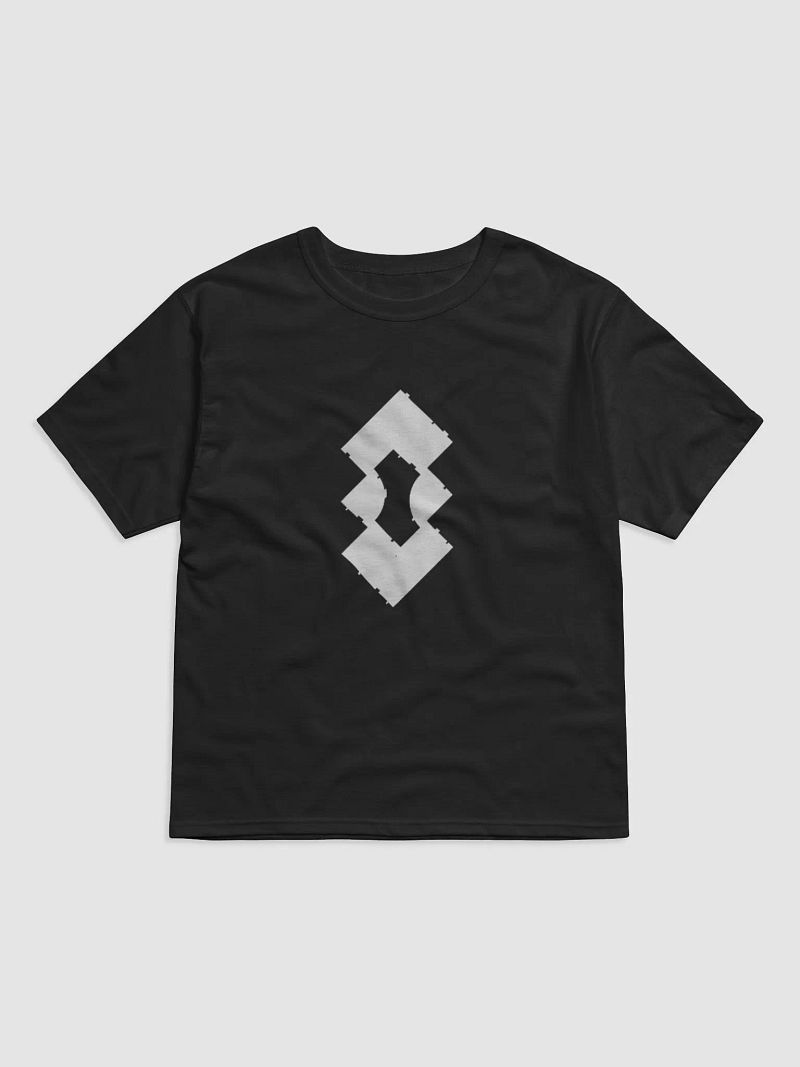 Dys Shirt (Champion Brand)