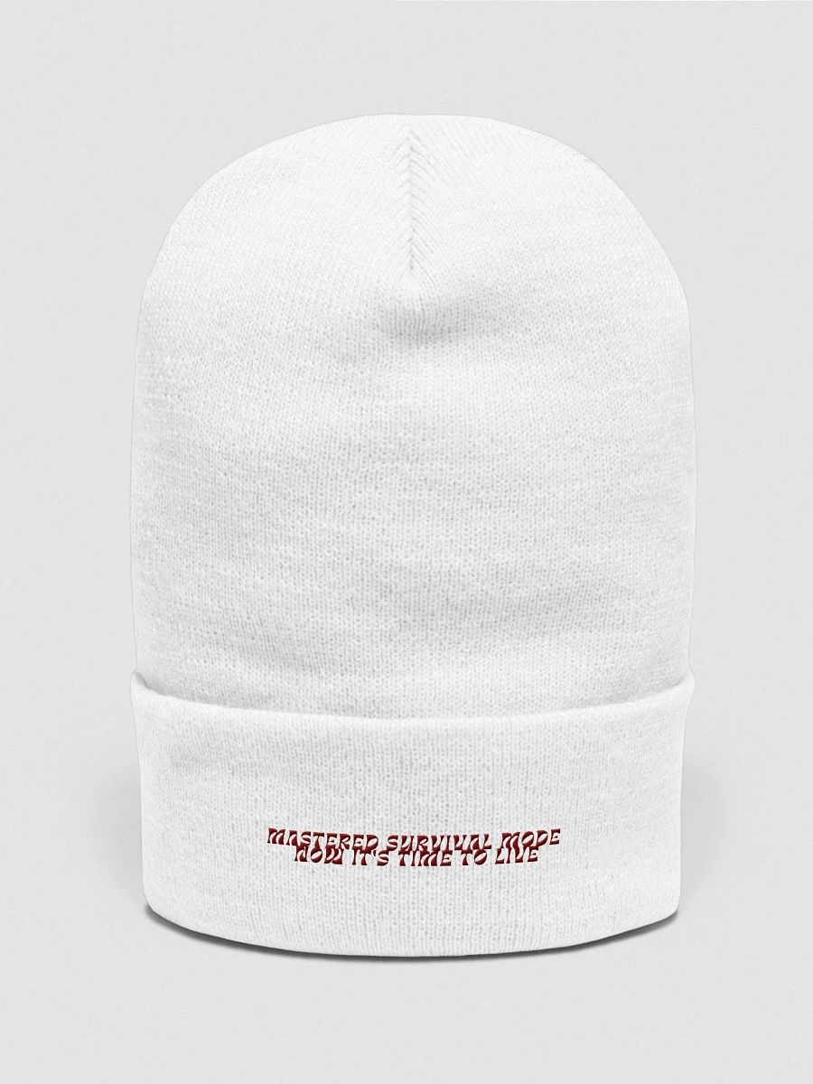 Survival Mode OFF: Cozy Textured Yupoong Beanie product image (4)