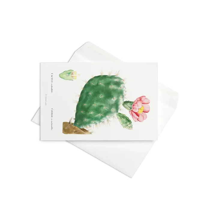 Blooming Desert Greetings product image (2)