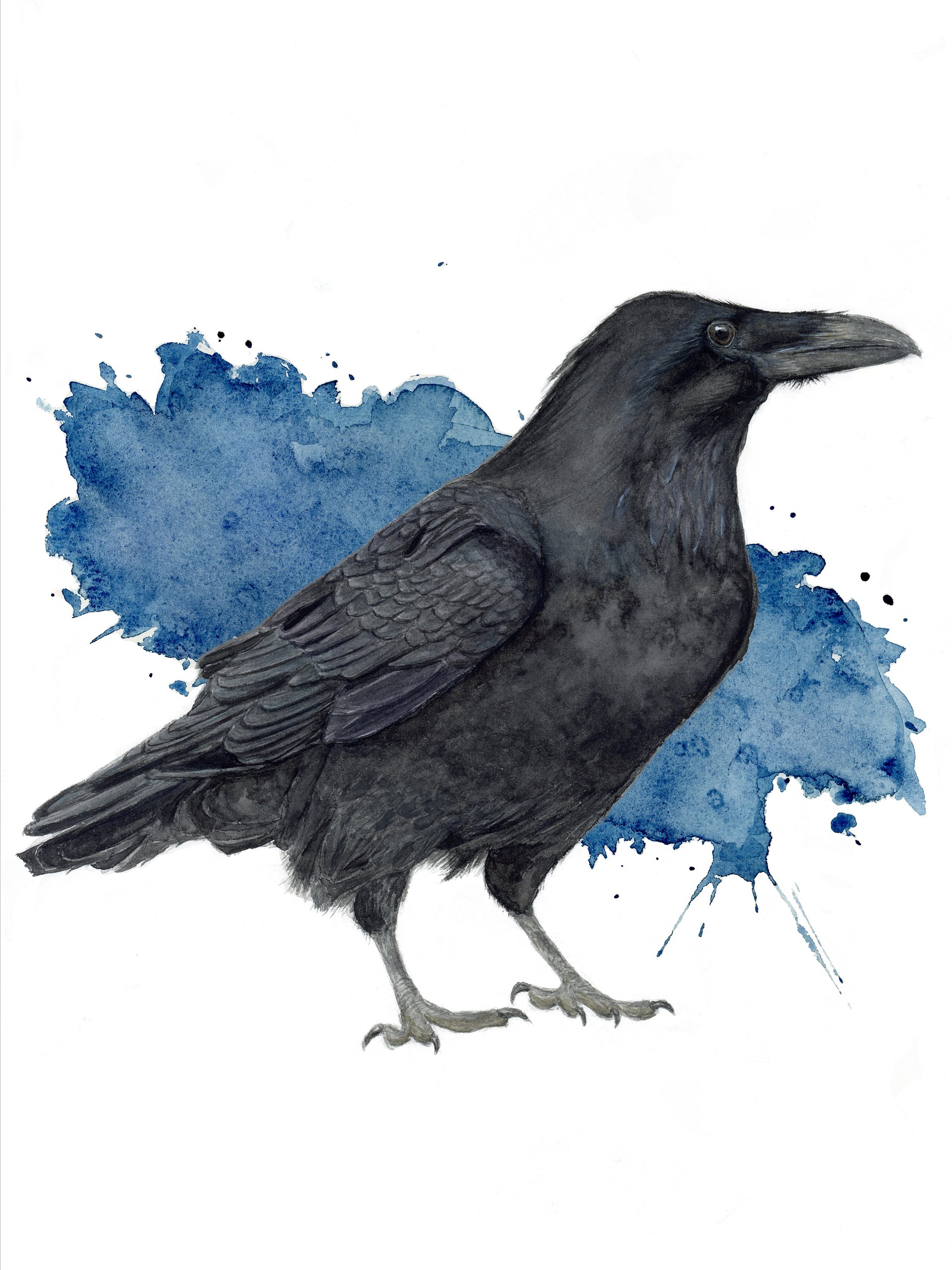 Raven - giclée print product image (1)