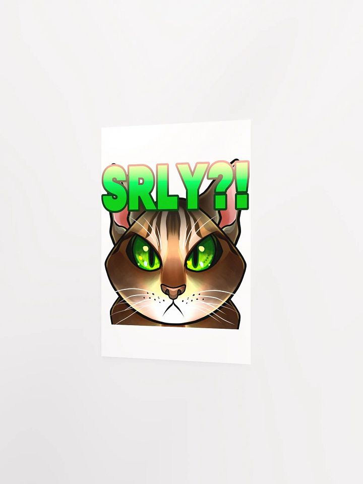 SRLY?! Poster product image (19)