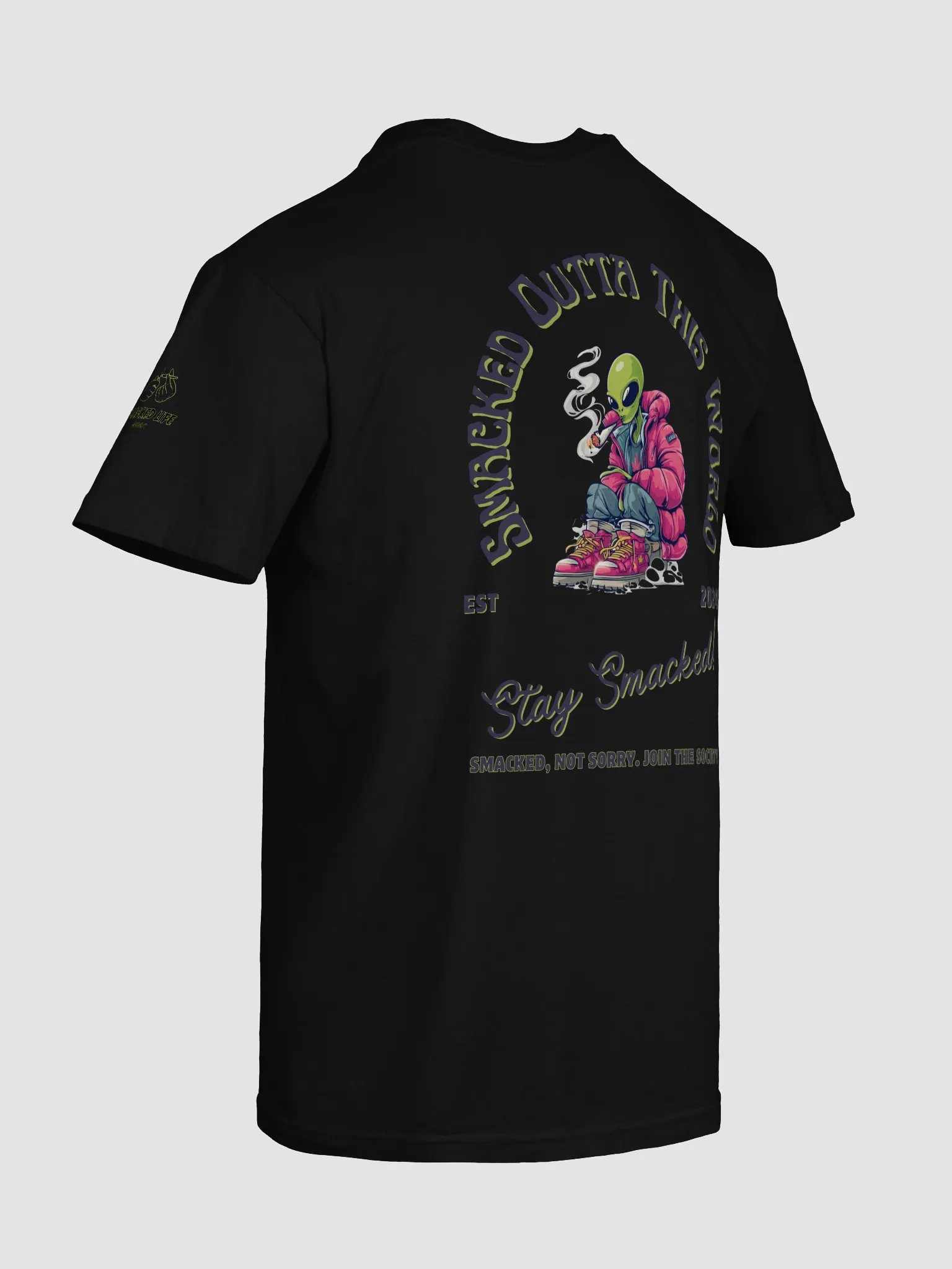 Alien SMACKED OUTTA THIS WORLD! T-Shirt product image (48)
