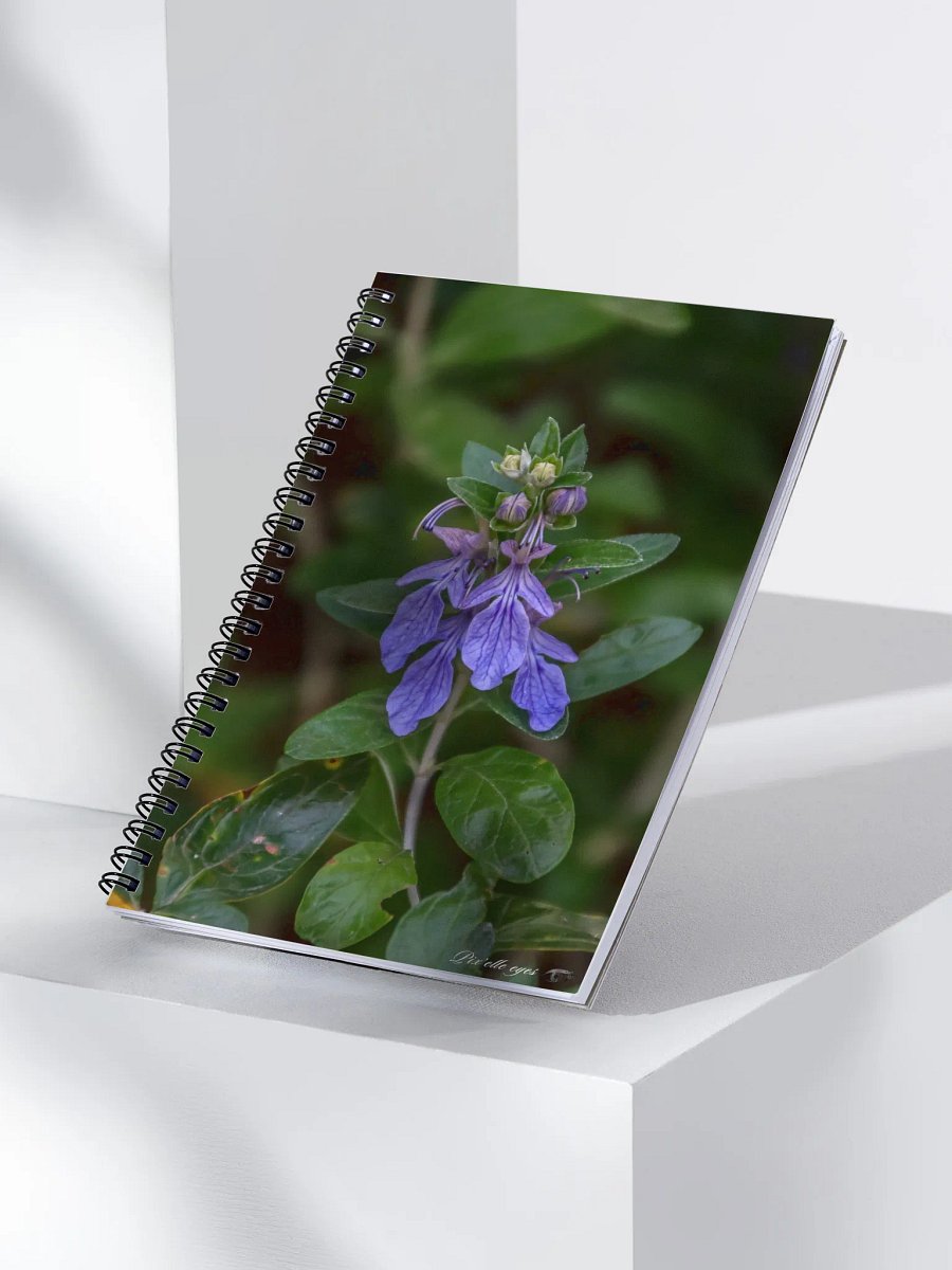 📘 Notebook Collection PURE – Jardin du Rayol – Germandrée arbustive product image (3)
